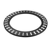 IgielkoweWzdluzne_CX1 IgielkoweWzdluzne_CX1